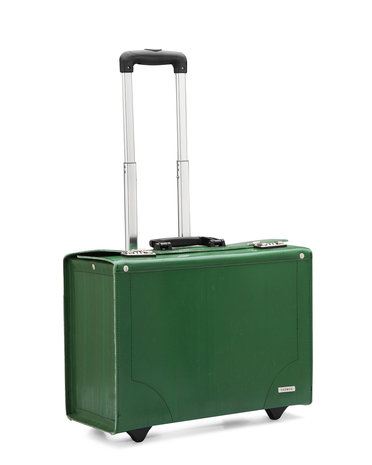 reis trolley groen