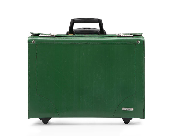 reis trolley groen